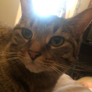 Meet your Posher, Brionna